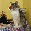 Отзыв от Катюша Никулина